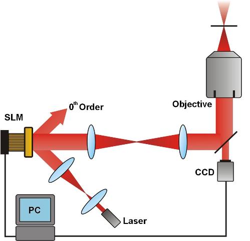 Building a System for Automatic Laser-Assisted Neuron Growth with ...